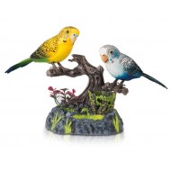 Pasari vorbitoare si suport creioane 2in1 